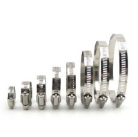 13-19 mm Clamp Band - Metal Worm Screw Clamp for Pipes and Hoses - 10 pcs Pack